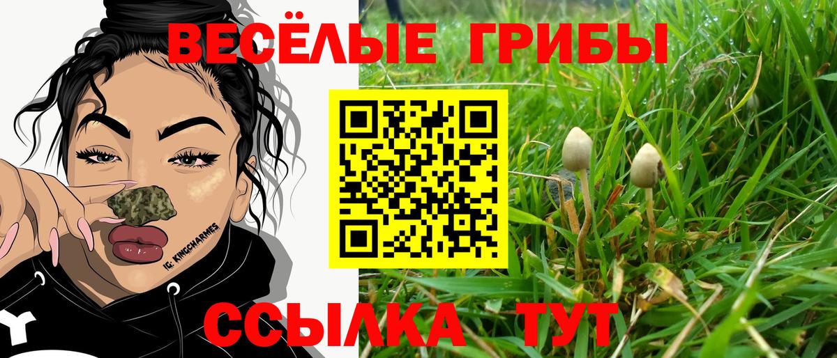 Псилоцибиновые грибы GOLDEN TEACHER  Галлюциногенные грибы мицелий  Партизанск  Вход с VPN 
