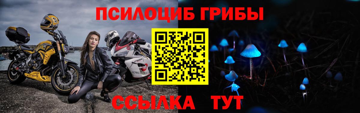 Галлюциногенные грибы мицелий Партизанск